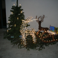 advent2007-300-gr