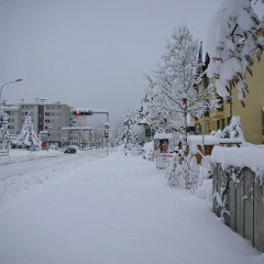 schnee2006-101-gr