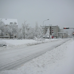 schnee2006-102-gr