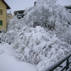 schnee2006-104-gr