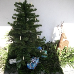 weihnachten2006-155-gr