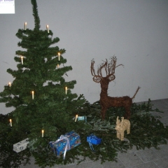 weihnachten2006-171-gr